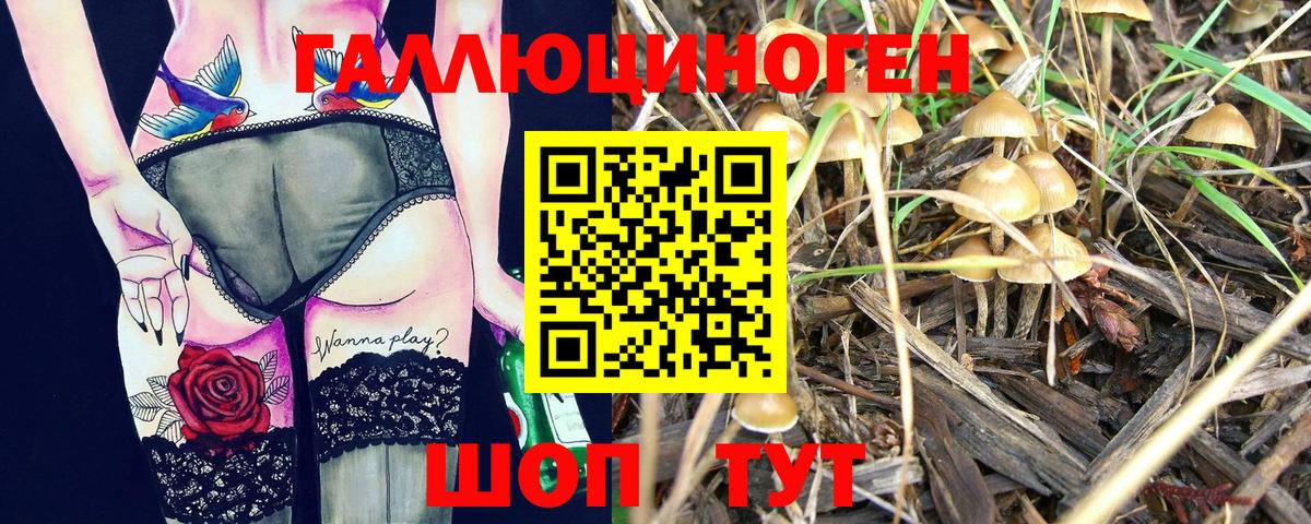 Псилоцибиновые грибы ЛСД Ногинск