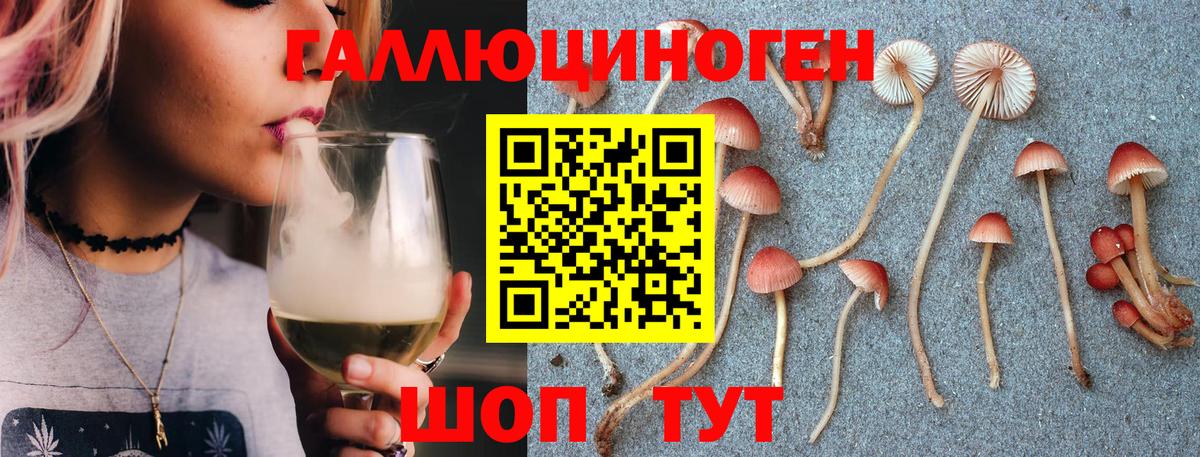 Ногинск  Галлюциногенные грибы мухоморы  Вход с VPN 